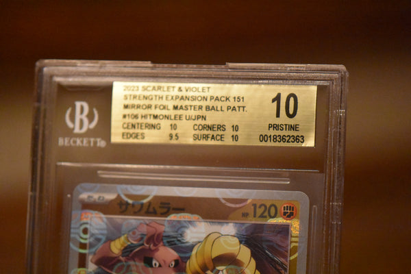 Hitmonlee (Master Ball Pattern)