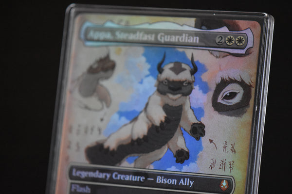 Appa, Steadfast Guardian