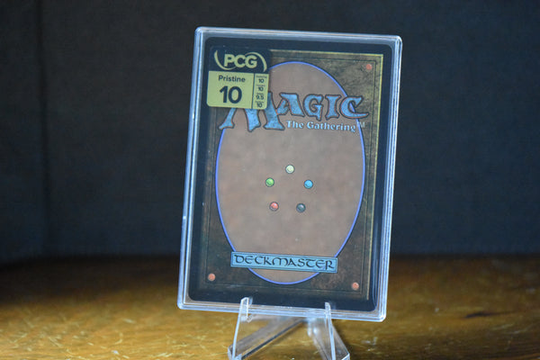 Appa, Steadfast Guardian