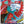 Paradox Rift Booster Pack - SV04: Paradox Rift (PAR)