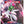 Paradox Rift Booster Pack - SV04: Paradox Rift (PAR)
